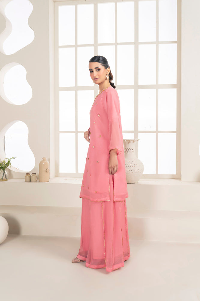 Organza Embroidered Shirt, Printed Dupatta, and Russian Grip Trousers - 3PC Suit