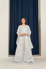 Organza Maxi Gown Style Fully Embroidered and Embellished Party Wear Dress