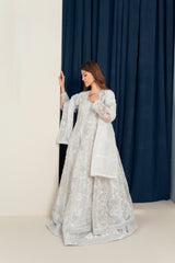 Organza Maxi Gown Style Fully Embroidered and Embellished Party Wear Dress