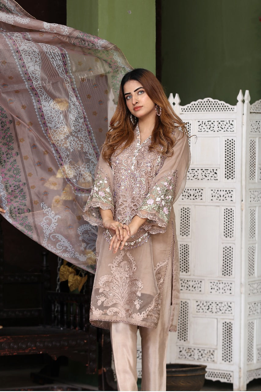 Heavy Embroidery with Stone Work