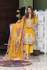 Organza 3pc Suits