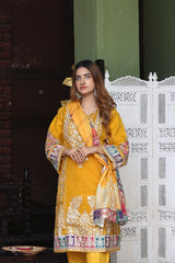 Organza 3pc Suits