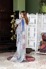 Curtain Net Dress with Embroidery Work, 3-Piece Set